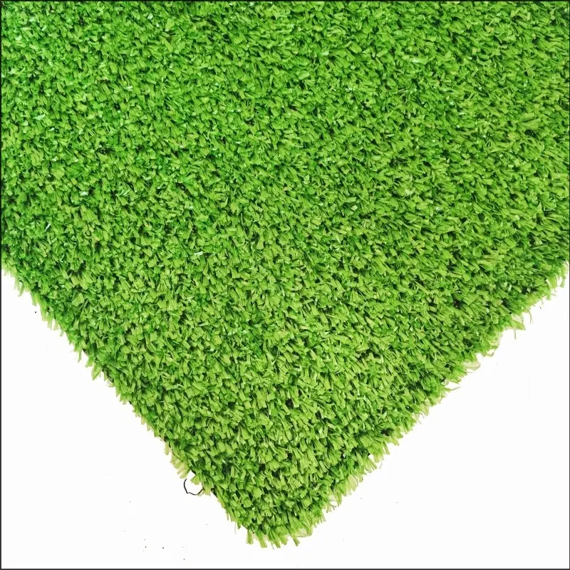 See More About Cỏ thảm CG10