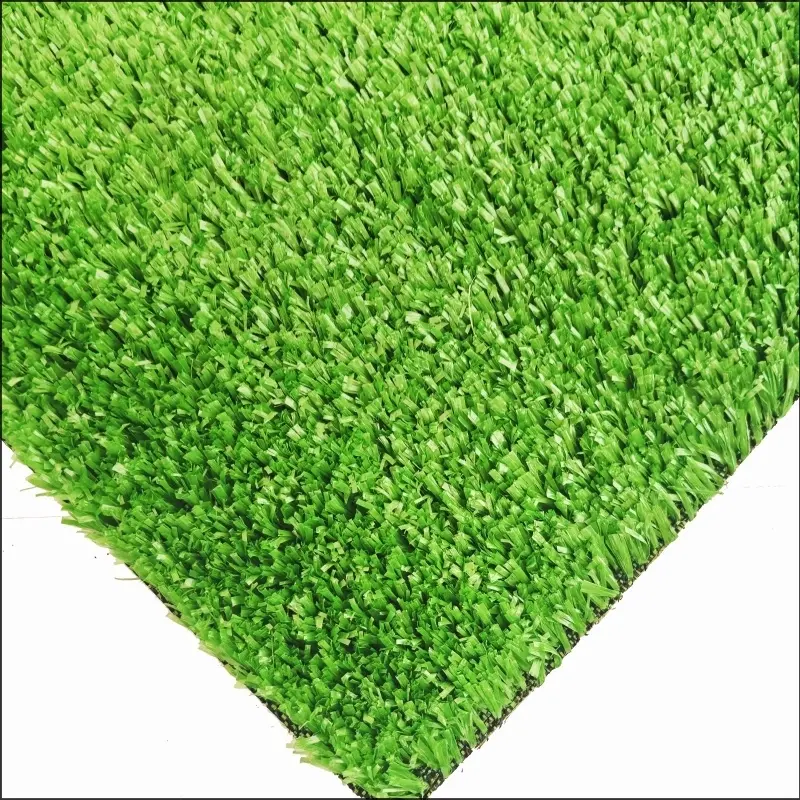See More About Cỏ thảm CG15