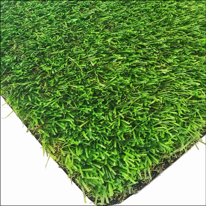 Cỏ vườn (GG30)