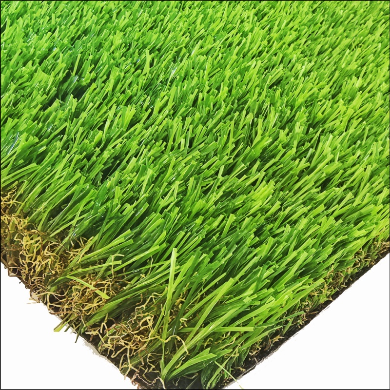 Cỏ vườn (GG35)