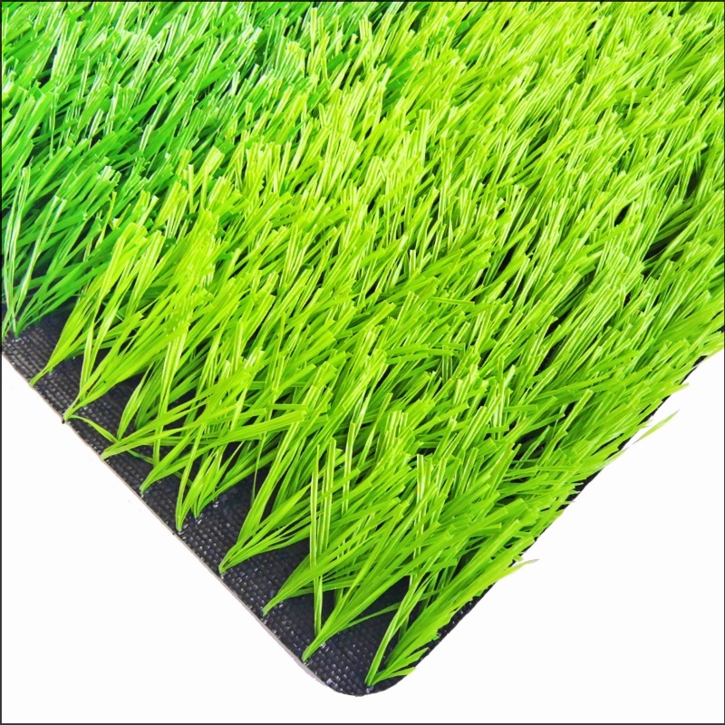 Cỏ bóng đá (FG50)