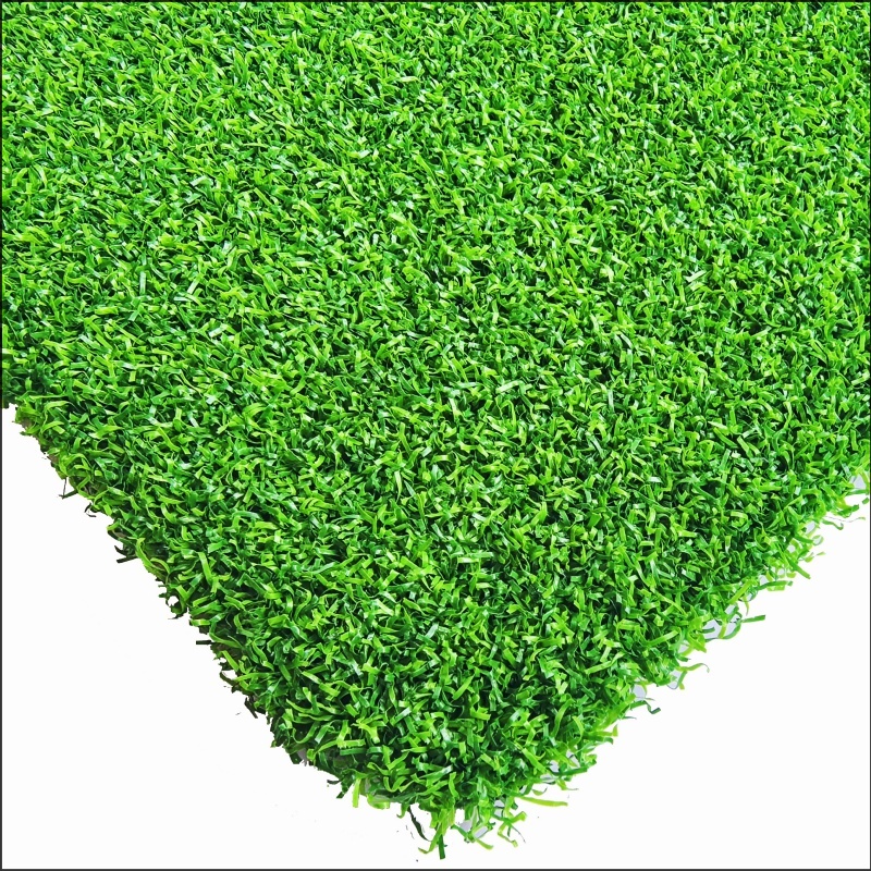 Cỏ golf (GG15)